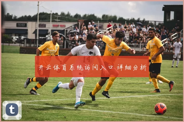 开云体育系统访问入口 详细分析