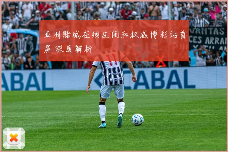 亚洲赌城在线庄闲和权威博彩站首屏 深度解析