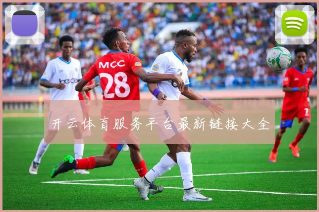 开云体育服务平台最新链接大全