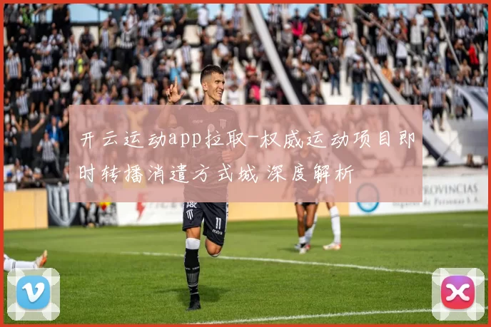 开云运动app拉取-权威运动项目即时转播消遣方式城 深度解析