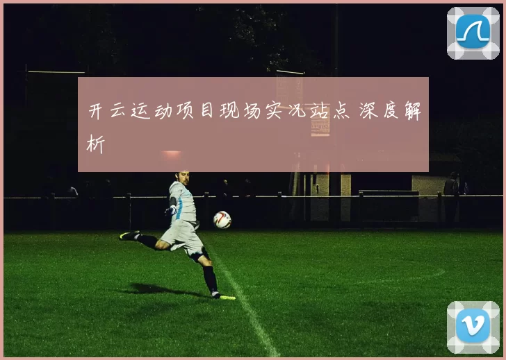 开云运动项目现场实况站点 深度解析