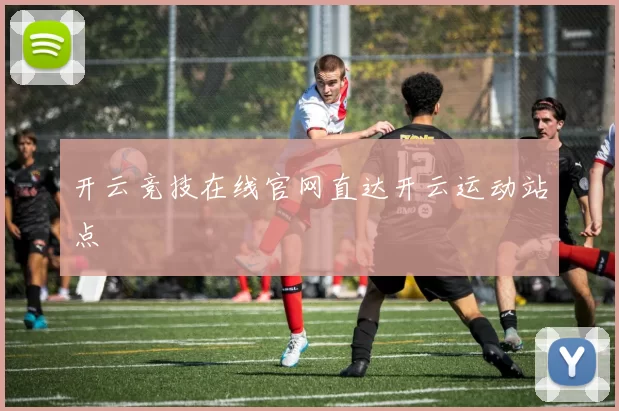 开云竞技在线官网直达开云运动站点