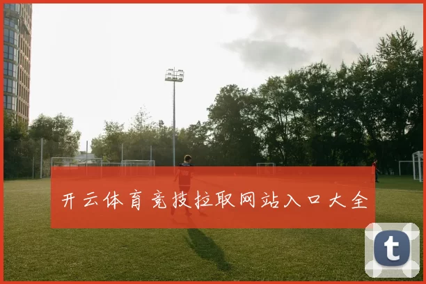 开云体育竞技拉取网站入口大全