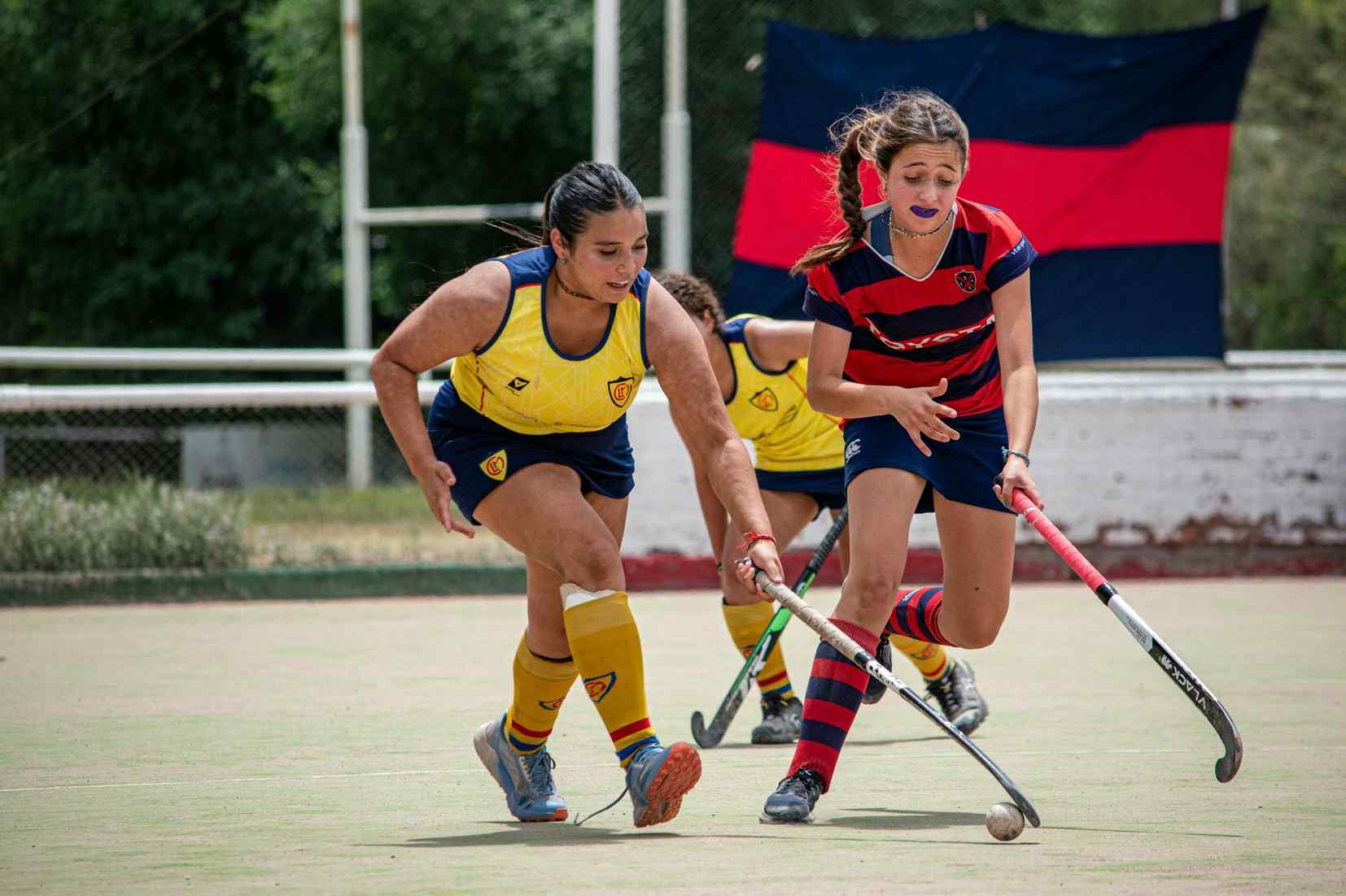 开云体育赛事福利活动app - 权威体育赛事竞技竞赛实况站点