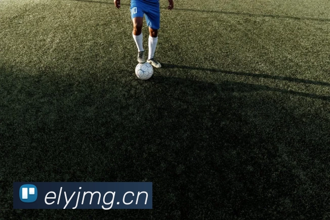 开元体育APP 高清赛事图